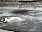 Un tapis gris et moelleux avec un livre ouvert et une table basse dorée.