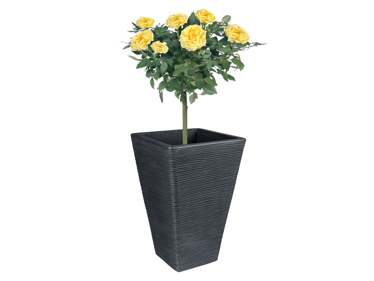 Ga naar volledige schermweergave: PARKSIDE® Hoge bloempot - afbeelding 4