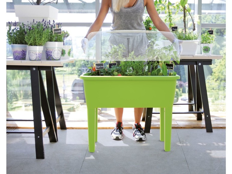 Aller en mode plein écran Prosperplast Potager sur pieds »Respana Planter Set«, env. 77 x 39 x 82 cm - Photo 6