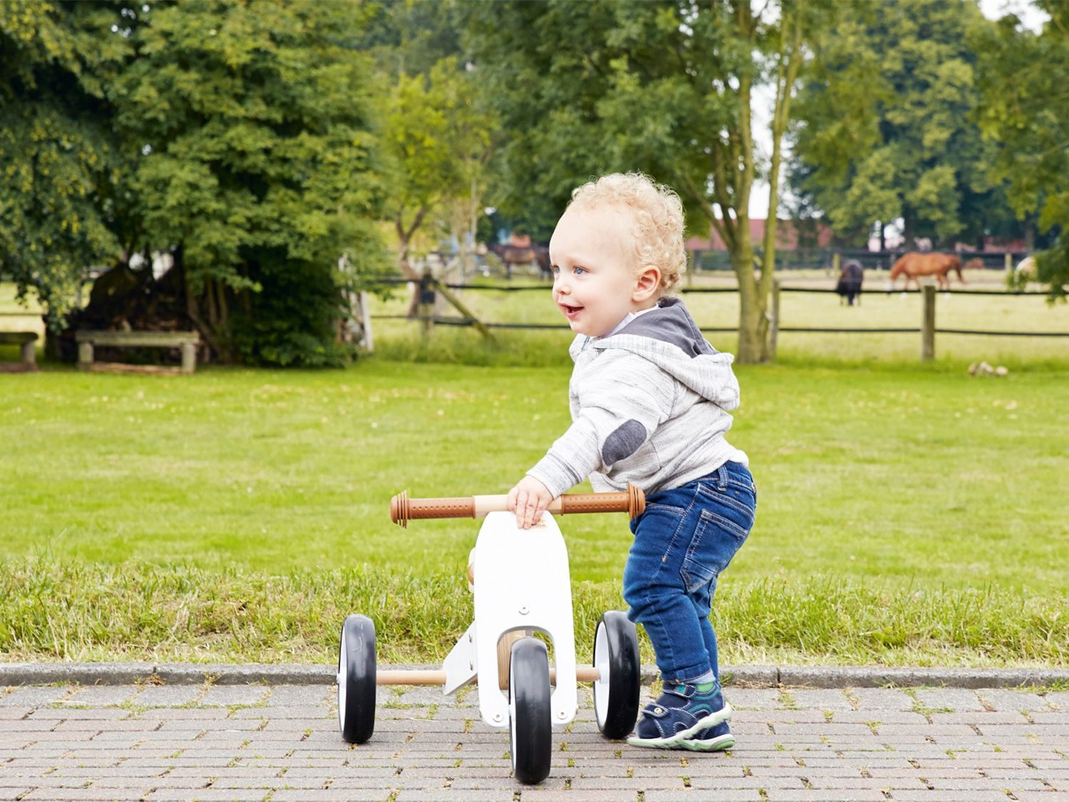 Lidl tricycle deals