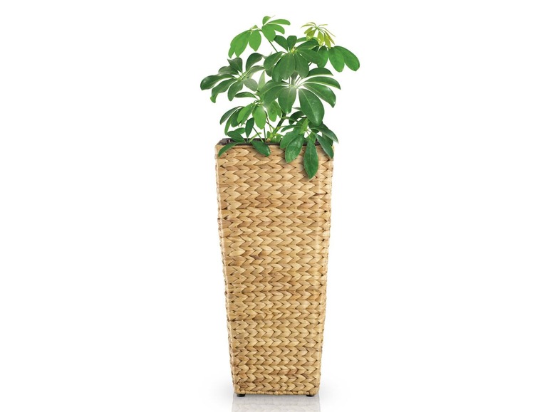 Ga naar volledige schermweergave: FLORABEST® Plantenbak - afbeelding 3
