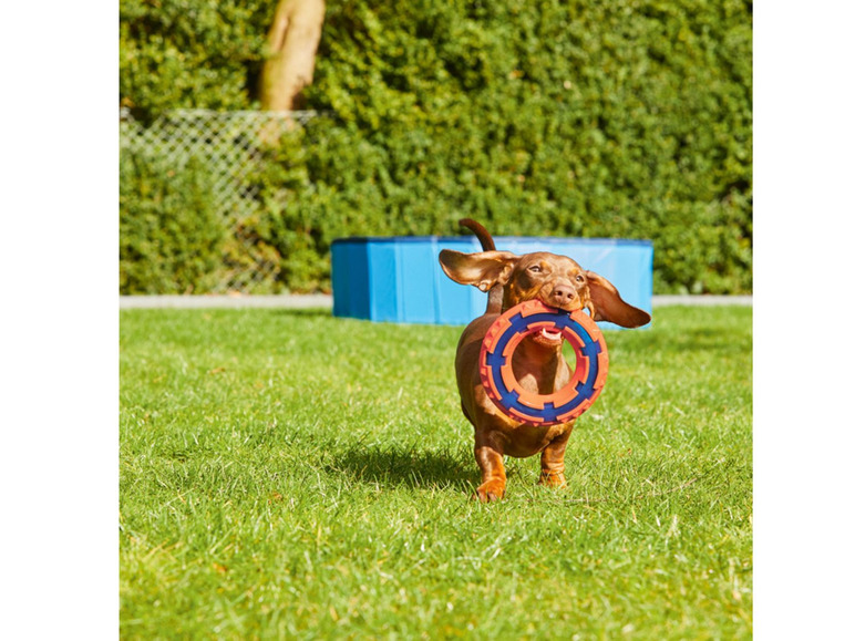 Ga naar volledige schermweergave: Nerf Dog Waterspeelgoed voor honden - afbeelding 5