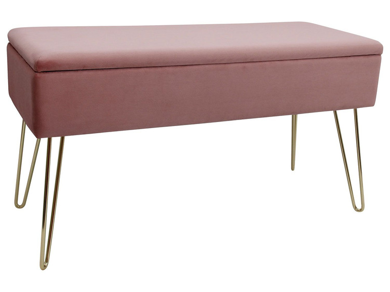 Aller en mode plein écran ECHTWERK Banc avec espace de rangement, 75 x 41,5 x 30 cm - Photo 16