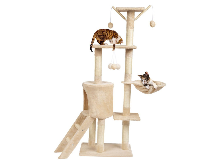 Aller en mode plein écran zoofari® Arbre à chat, en sisal et en peluche - Photo 1