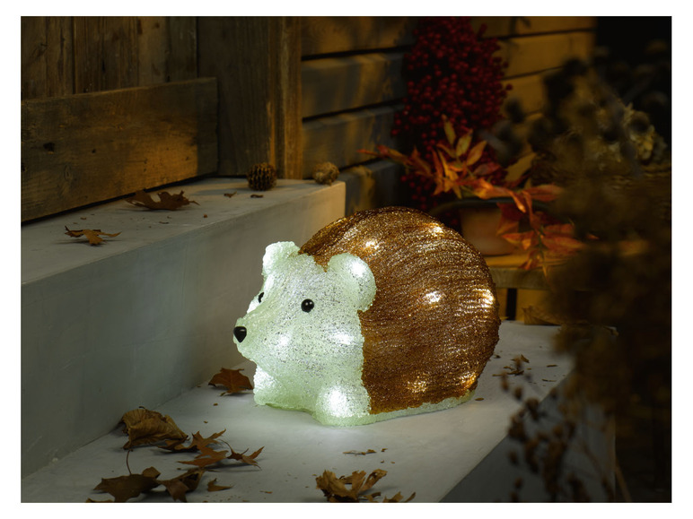 Aller en mode plein écran LIVARNO home Figurine décorative à LED - Photo 6