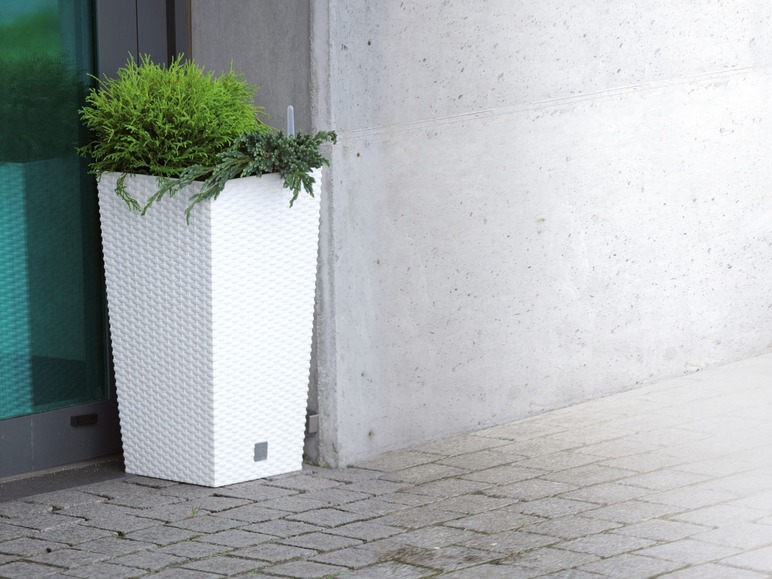 Un pot de fleurs blanc tressé avec des plantes vertes.