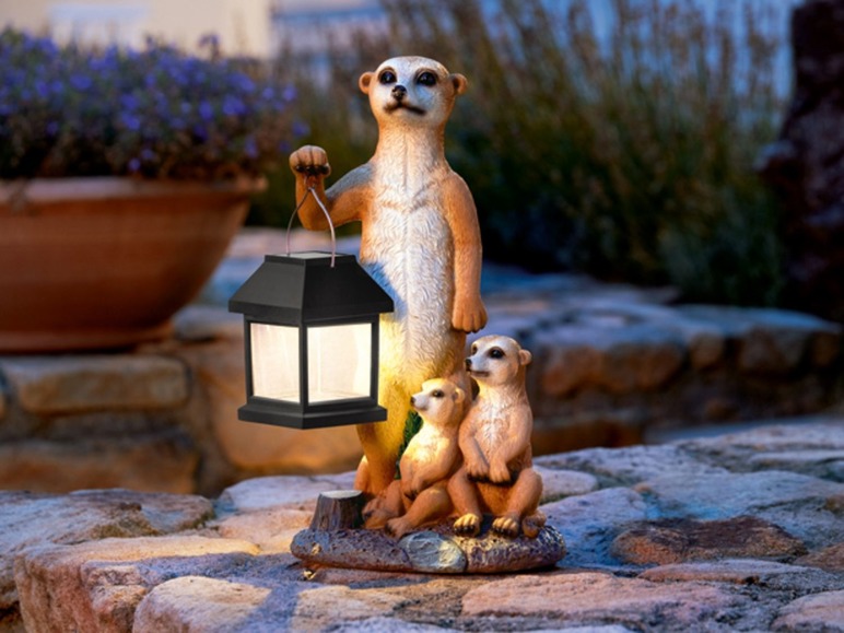 Ga naar volledige schermweergave: Melinera Decoratieve ledsolarlamp, verlichtingsduur 8 u - afbeelding 13