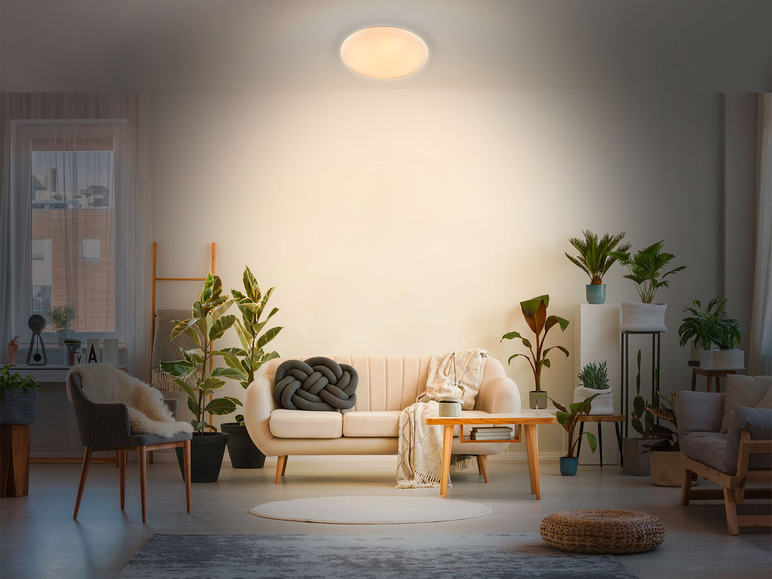 Ga naar volledige schermweergave: LIVARNO home Ledplafondlamp - afbeelding 13