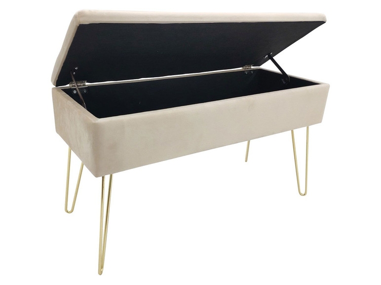 Aller en mode plein écran ECHTWERK Banc avec espace de rangement, 75 x 41,5 x 30 cm - Photo 9