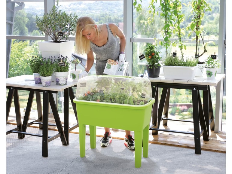 Aller en mode plein écran Prosperplast Potager sur pieds »Respana Planter Set«, env. 77 x 39 x 82 cm - Photo 7
