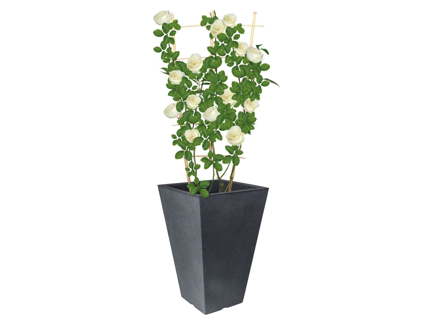 Interpreteren Illustreren Eigenwijs PARKSIDE® Hoge bloempot online kopen op Lidl.be