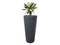 Een grijze regenton met een plant erin