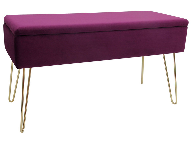 Aller en mode plein écran ECHTWERK Banc avec espace de rangement, 75 x 41,5 x 30 cm - Photo 2