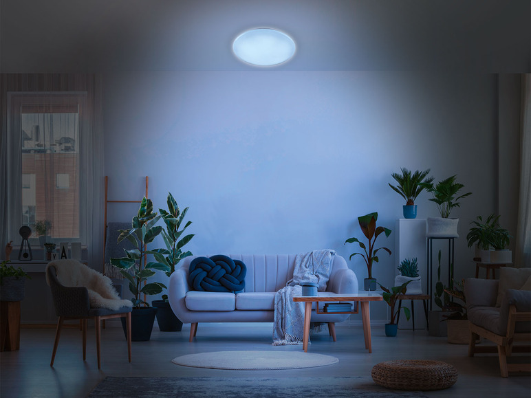 Ga naar volledige schermweergave: LIVARNO home Ledplafondlamp - afbeelding 15