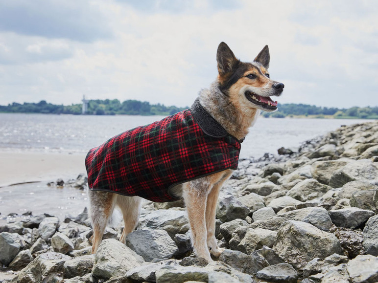 Aller en mode plein écran Zoofari Pull ou manteau pour chien - Photo 4