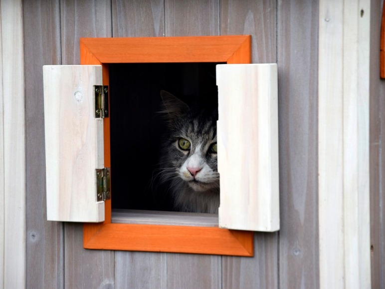 Ga naar volledige schermweergave: dobar Kattenhuisje Fancy Cat, 3 verdiepingen - afbeelding 4