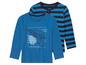 donkerblauw/blauw