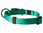 Un collier de chien vert avec une boucle noire.