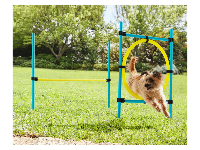 Ga naar volledige schermweergave: zoofari® Behendigheidspelletjes voor honden - afbeelding 6