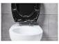 Een zwart toiletdeksel op een wit toilet.