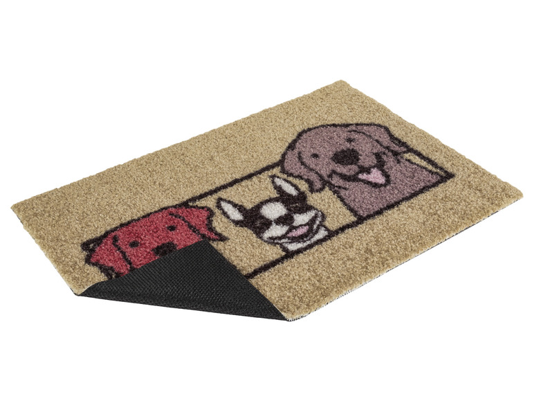 Ga naar volledige schermweergave: LIVARNO home Deurmat, 40 x 60 cm - afbeelding 10