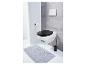 Toilet met zwart toiletbril en grijs badmat.