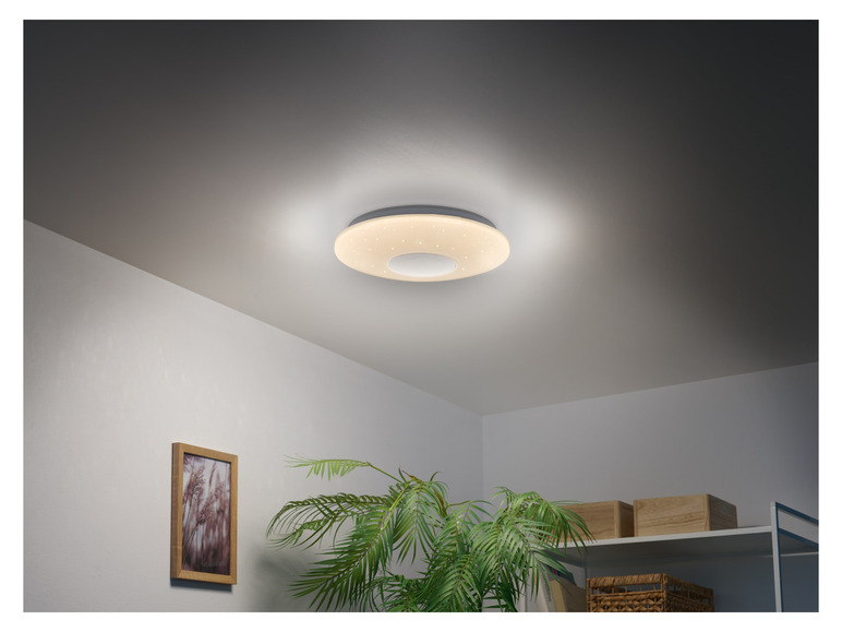 Un luminaire de plafond rond avec haut-parleur intégré dans une pièce avec une plante.