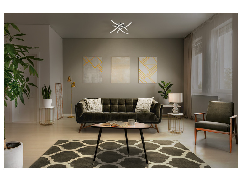 Ga naar volledige schermweergave: LIVARNO home Ledplafondlamp - afbeelding 16