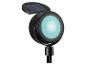 Solar tuinspot met blauw LED-licht