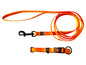 Une laisse et un collier orange pour chien