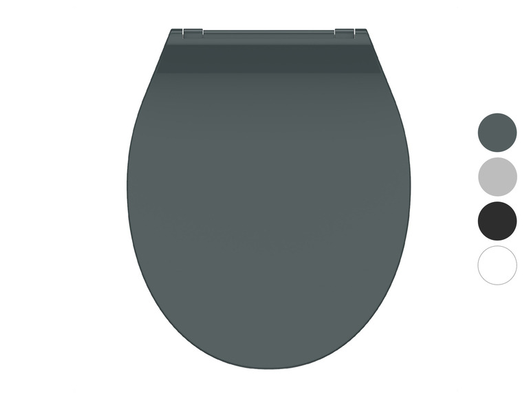 Een donkergrijs toiletbril met kleurstalen.