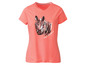 corail