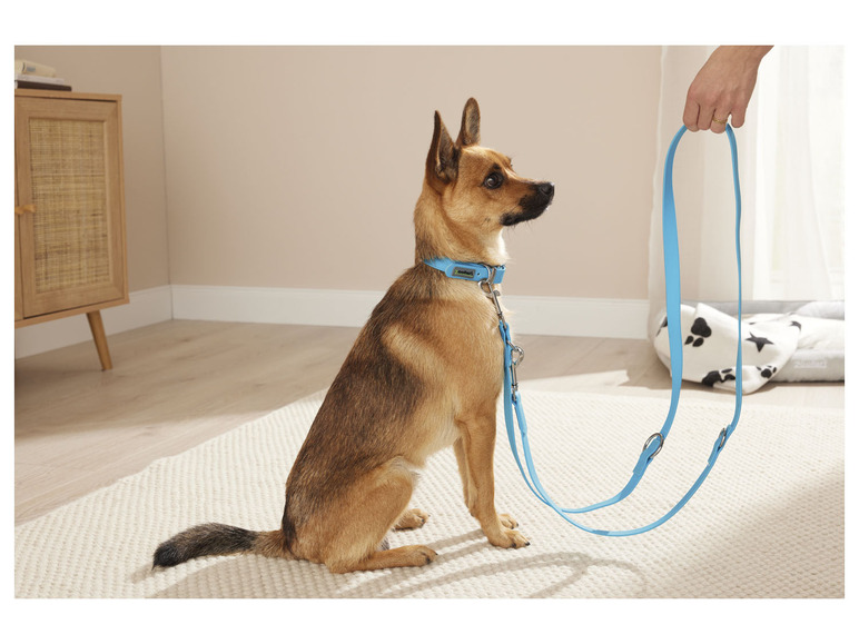 Ga naar volledige schermweergave: zoofari® Hals- en leiband voor honden - afbeelding 3