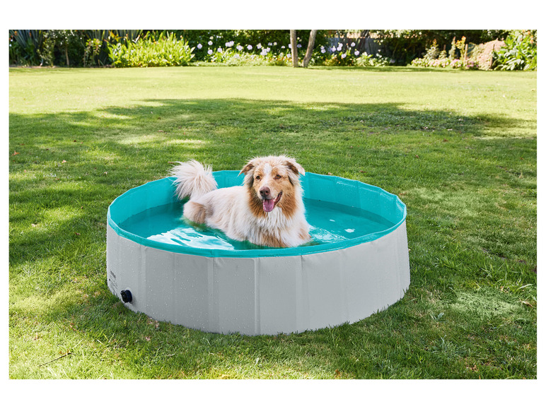 Aller en mode plein écran zoofari® Piscine pour chien - Photo 3