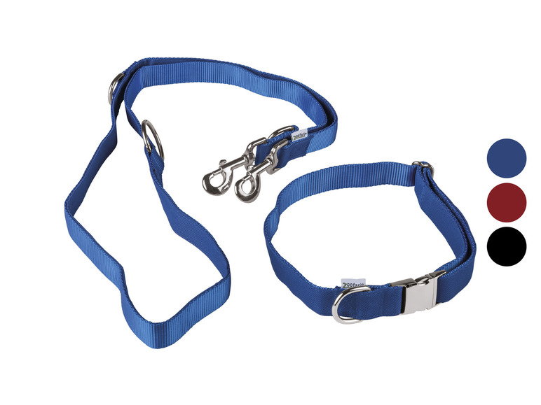 Aller en mode plein écran zoofari® Collier et laisse pour chiens - Photo 1