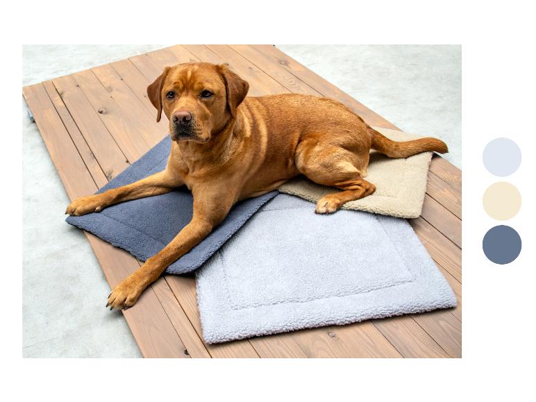 Un labrador allongé sur trois lits pour chien, deux gris et un beige.
