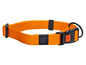 Un collier de chien orange de Karlie avec une boucle et un anneau.