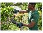 Man in groen T-shirt en handschoenen snoeit een struik met een zwarte PARKISDE elektrische snoeischaar.