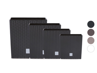 Prosperplast Jardinière