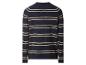 Pull rayé à manches longues pour homme en bleu marine et beige, vue de dos.