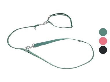 Collier et laisse pour chiens zoofari®