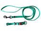 Une laisse et un collier pour chien vert avec une boucle noire et un bouton rouge.