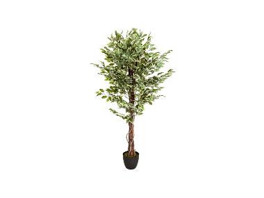 hjh OFFICE Plante artificielle FICUS