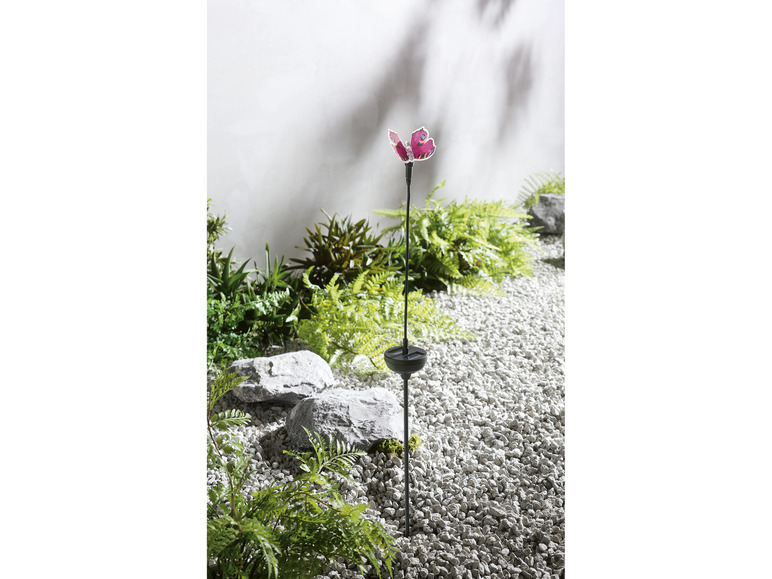 Ga naar volledige schermweergave: LIVARNO home Decoratieve solarlamp - afbeelding 14