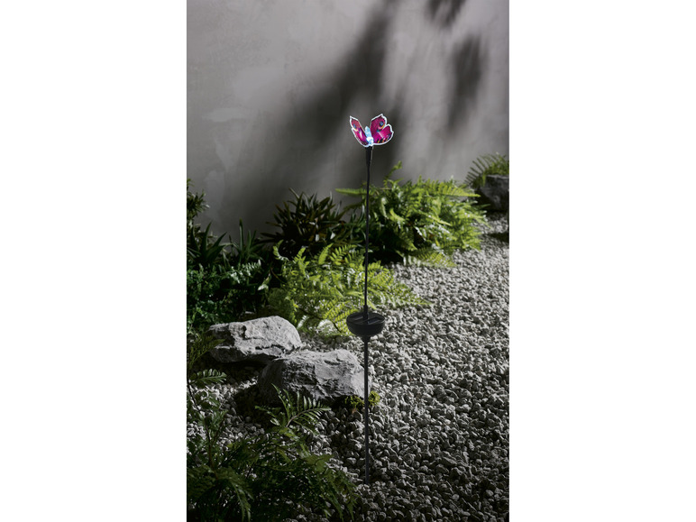 Ga naar volledige schermweergave: LIVARNO home Decoratieve solarlamp - afbeelding 15