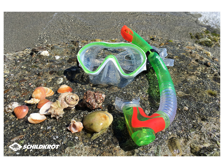 Un tuba vert et un masque de plongée sur une plage rocheuse, entourés de coquillages.