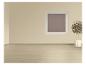Pièce vide avec murs beiges, parquet clair, fenêtre et plante en pot.
