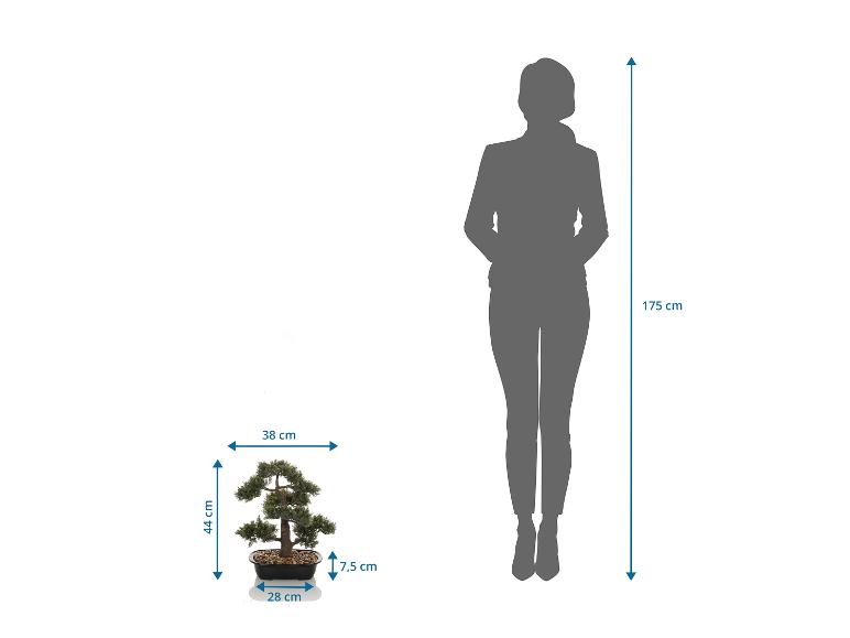 Kunstmatige bonsaiboom, 44 cm hoog, naast een silhouet van een persoon van 175 cm.