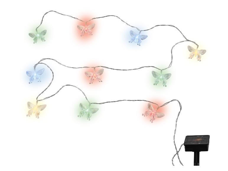 Op zonne-energie werkende vlinderlichtjes in diverse kleuren.