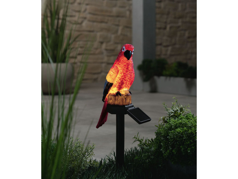 Ga naar volledige schermweergave: LIVARNO home Decoratieve solarlamp voor buiten - afbeelding 10